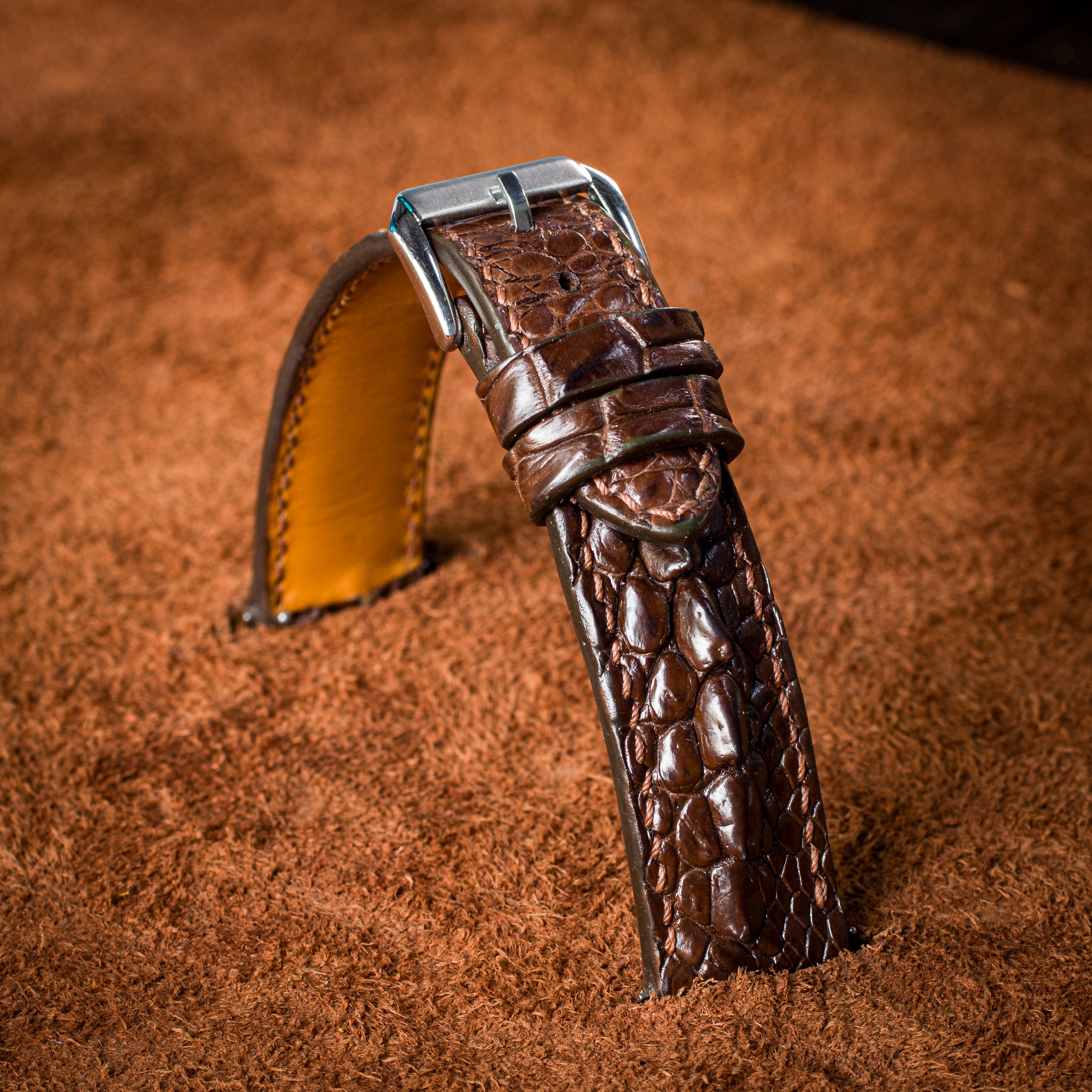 Brown Horned Alligator Leg Stitched Strap