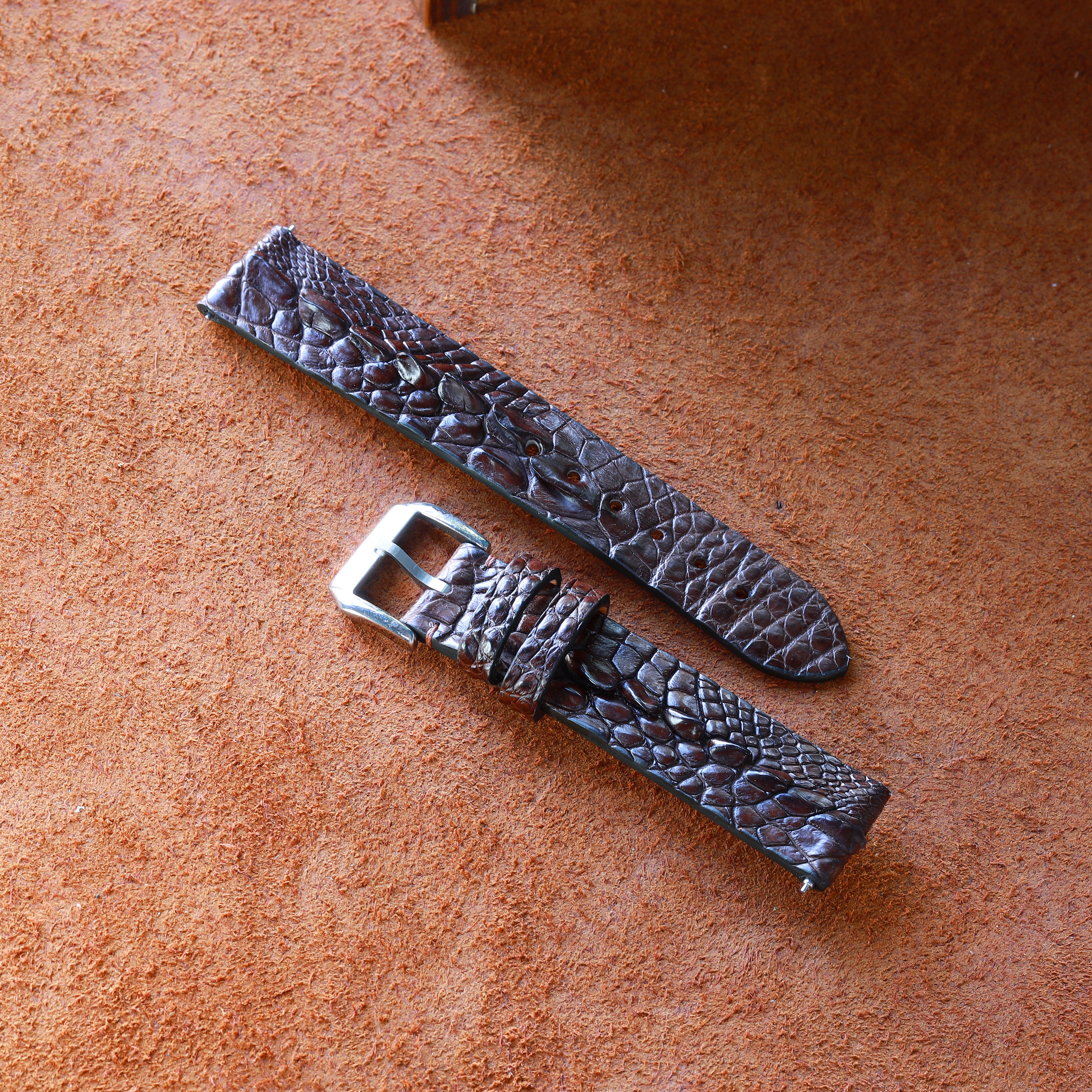 Brown Horned Alligator Leg Stitchless Strap