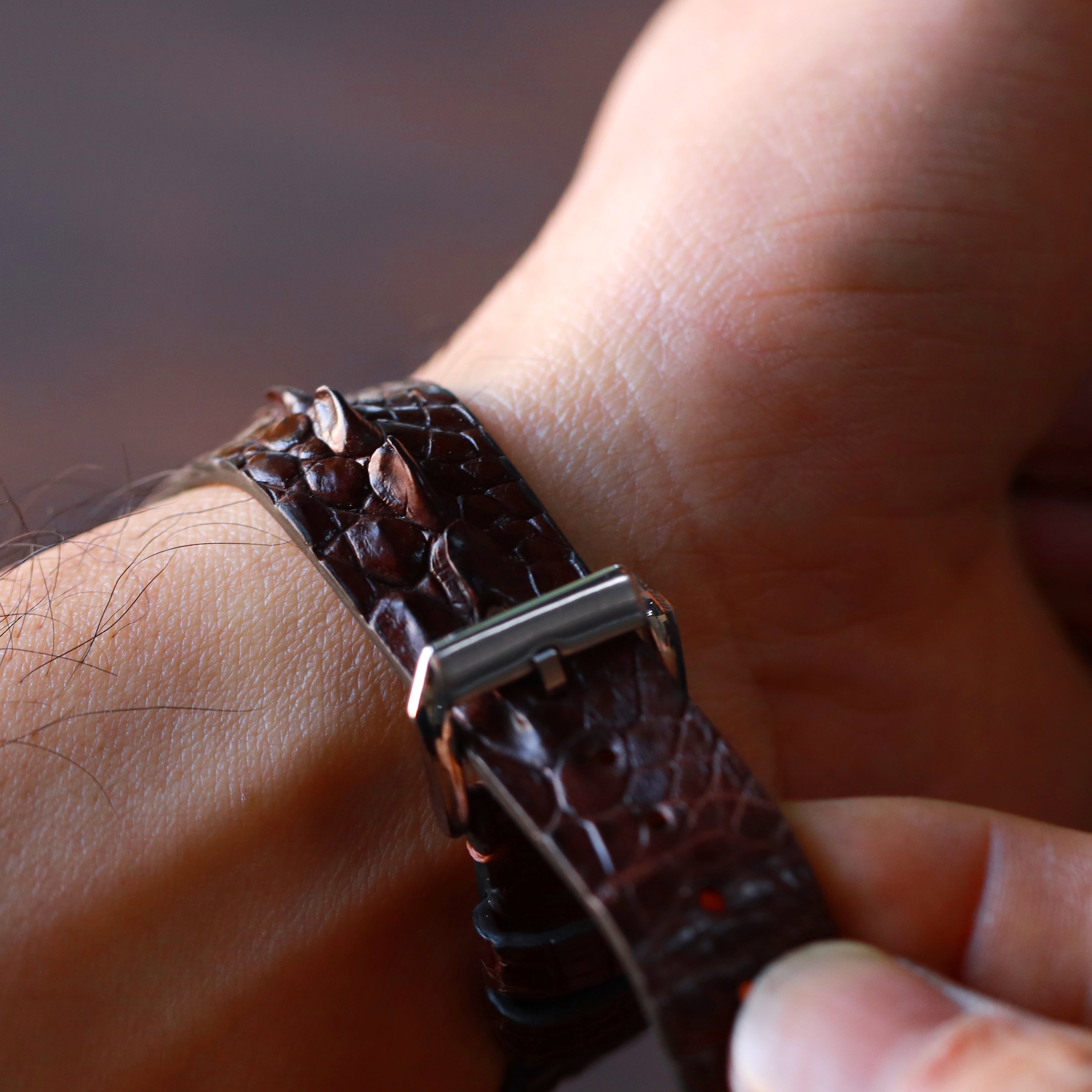 Brown Horned Alligator Leg Stitchless Strap
