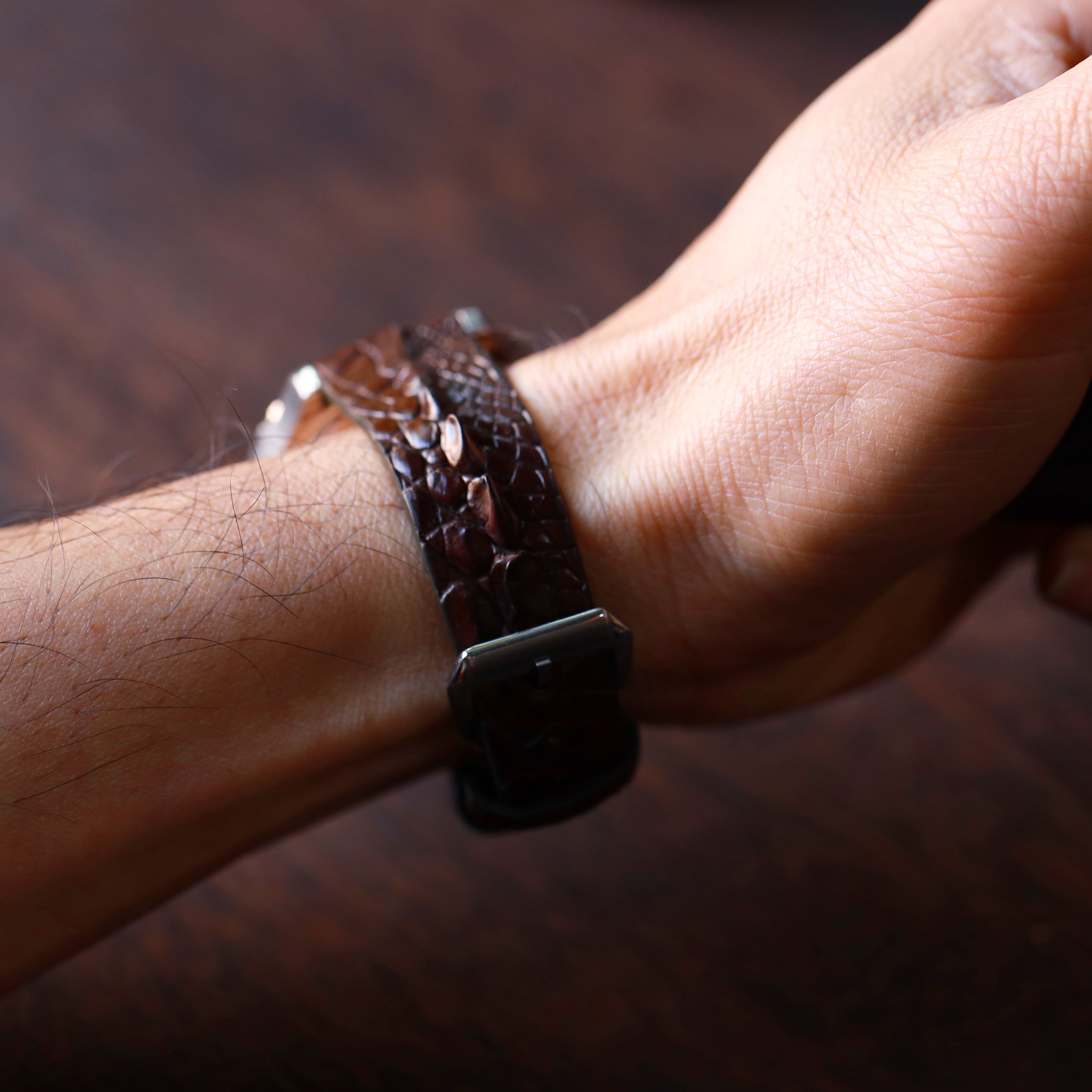 Brown Horned Alligator Leg Stitchless Strap