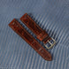 Chocolate Brown Glossy Ostrich Leg Watch Strap (Scaled)