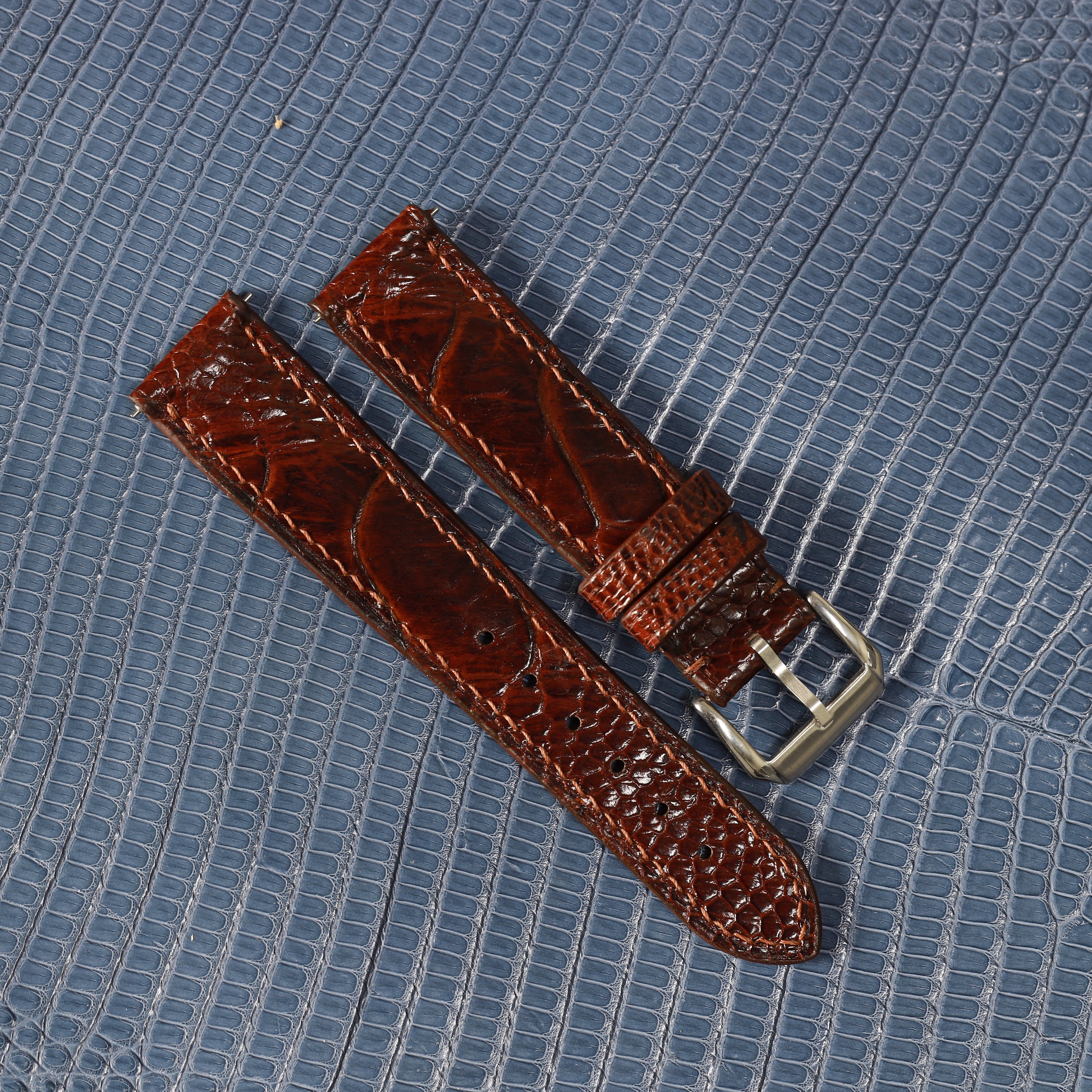 Chocolate Brown Glossy Ostrich Leg Watch Strap (Scaled)