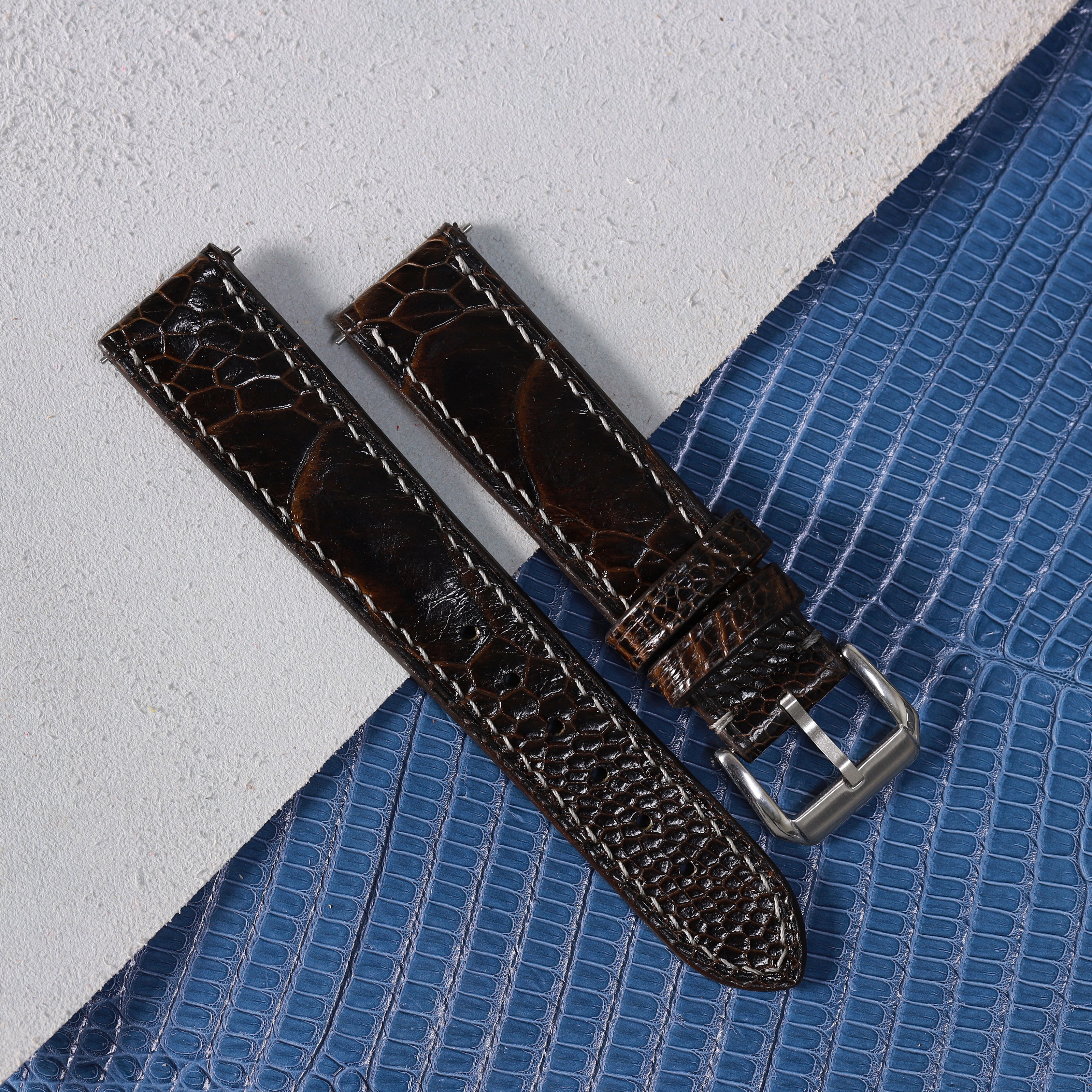 Dark Chocolate Brown Glossy Ostrich Leg Watch Strap (Scaled)
