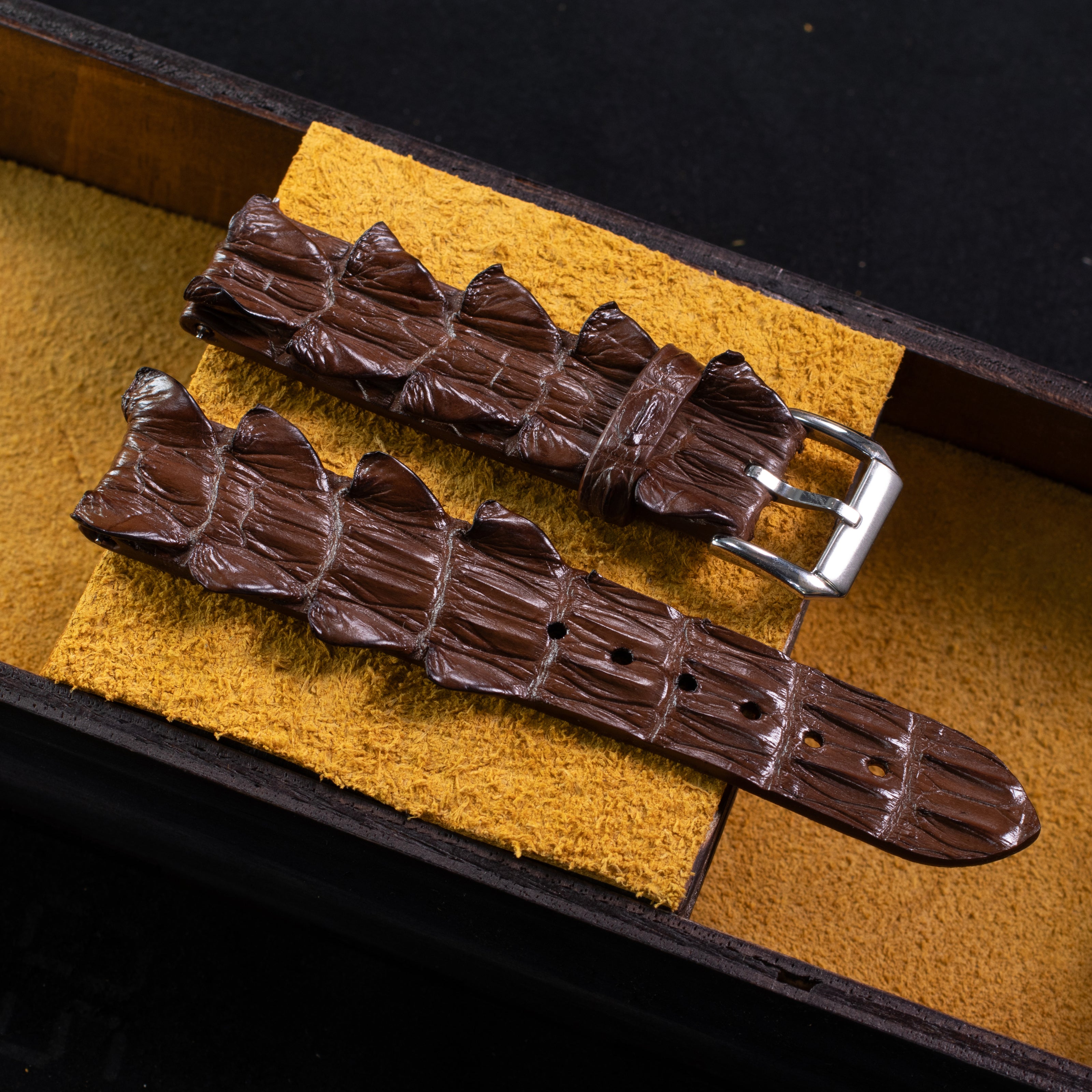 Espresso Brown Alligator Tail Signature Strap