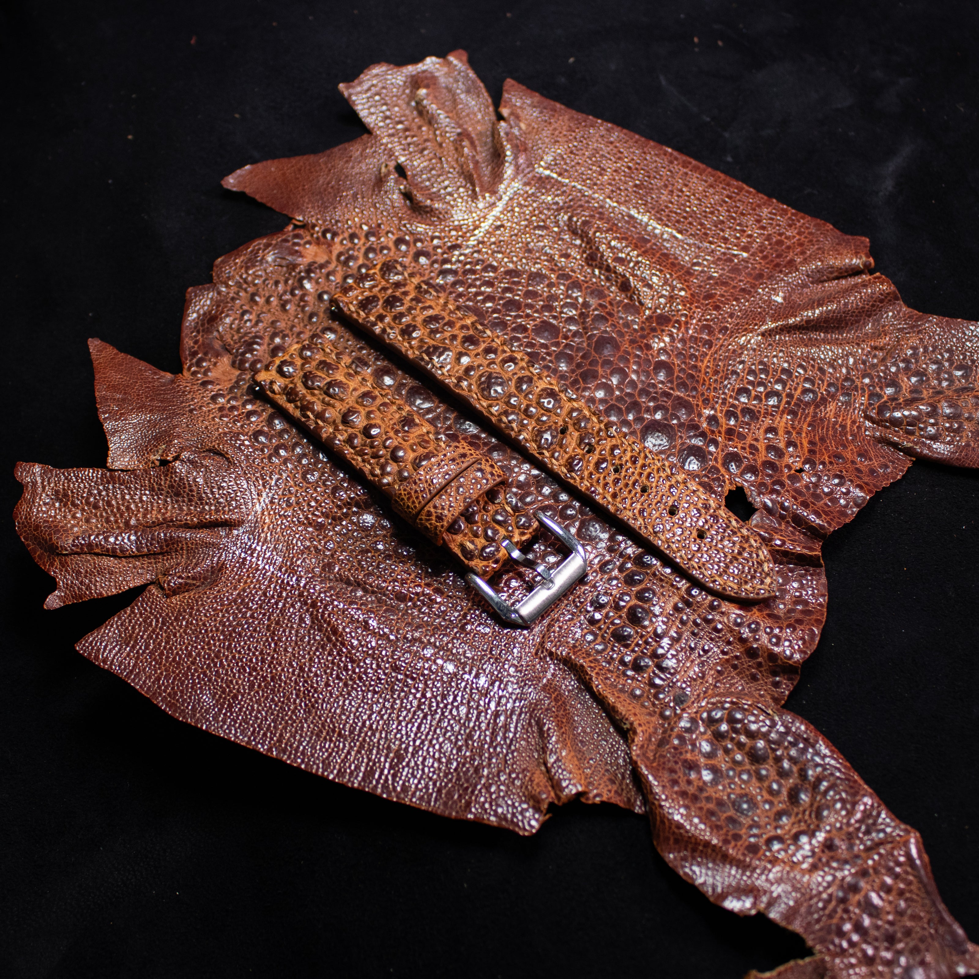 Coffe Brown Toad Leather Watch Strap