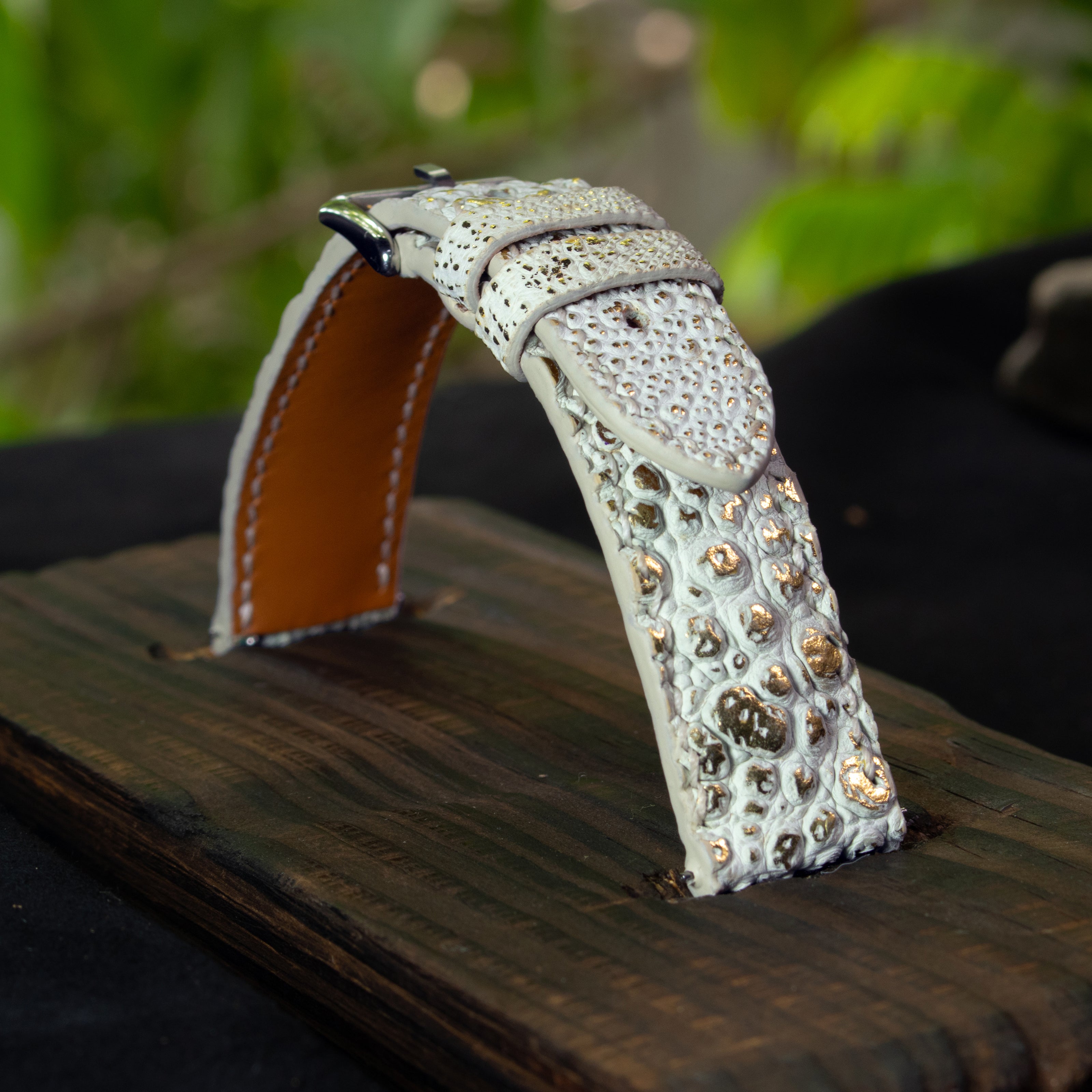 Gold Quill Ivory White Toad Leather Watch Strap