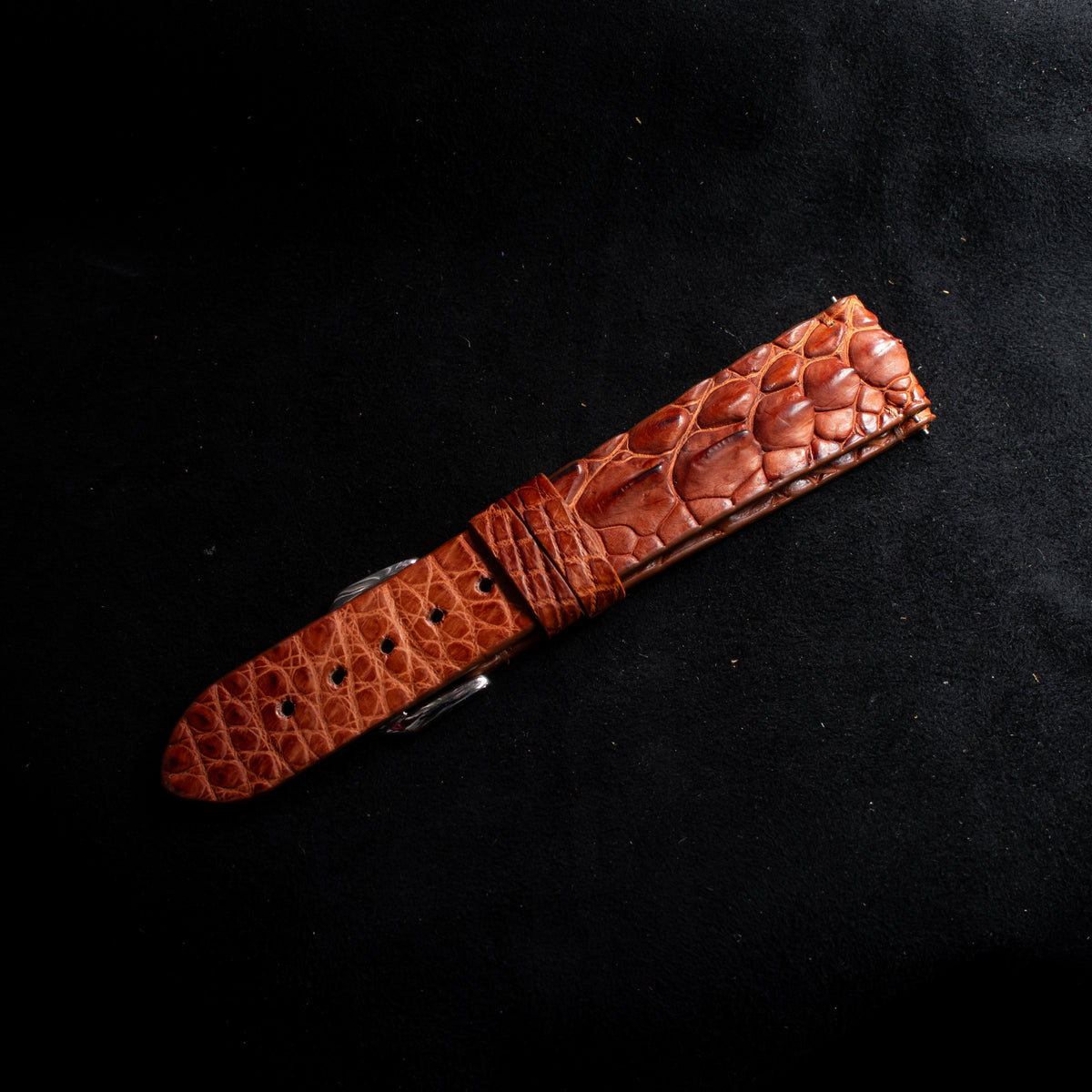 Cognac Brown Horned Alligator Leg Stitchless Strap