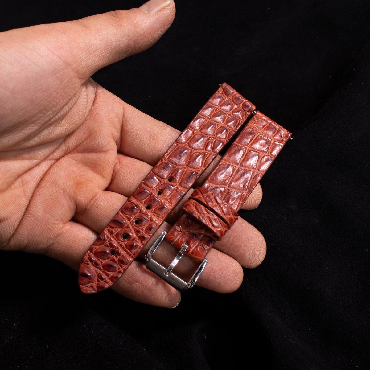 Cognac Brown Alligator Leg Stitchless Strap (Smooth)
