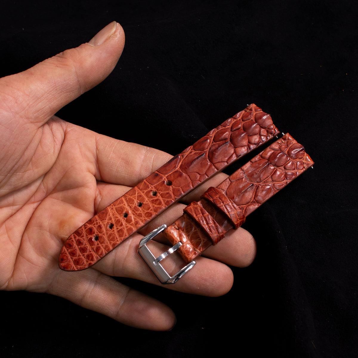 Cognac Brown Horned Alligator Leg Stitchless Strap
